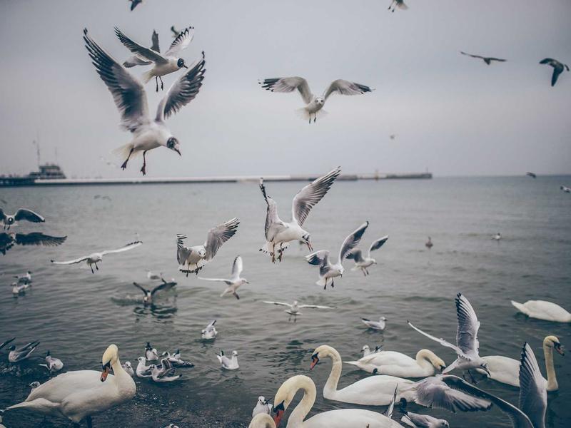 sudoku puzzle game screenshot 5